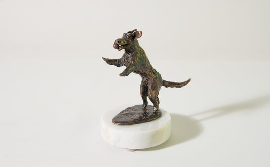 Dog Jumping for Ball