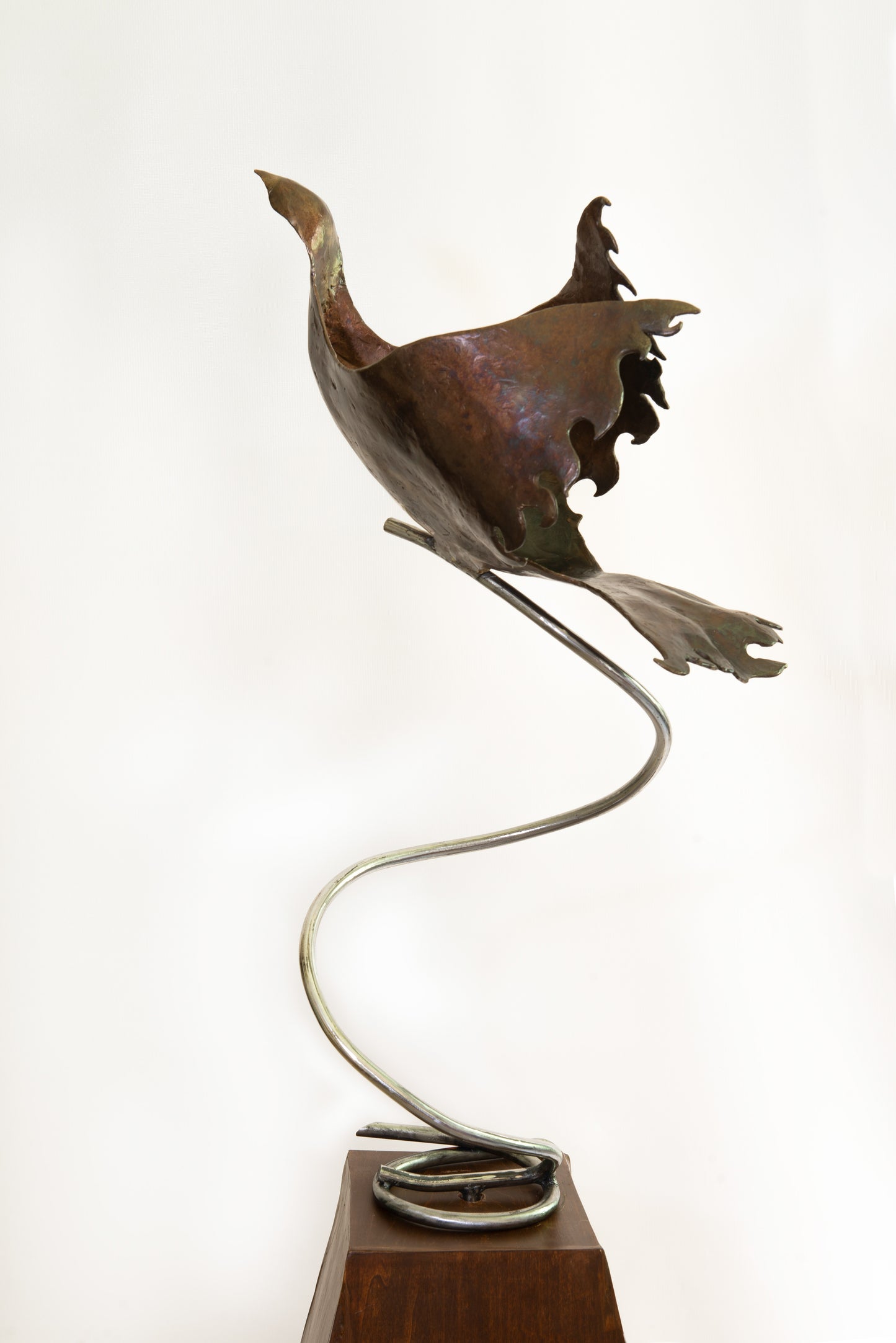 Dove Soaring — Original Abstract Bronze Dove Sculpture, Fine Art