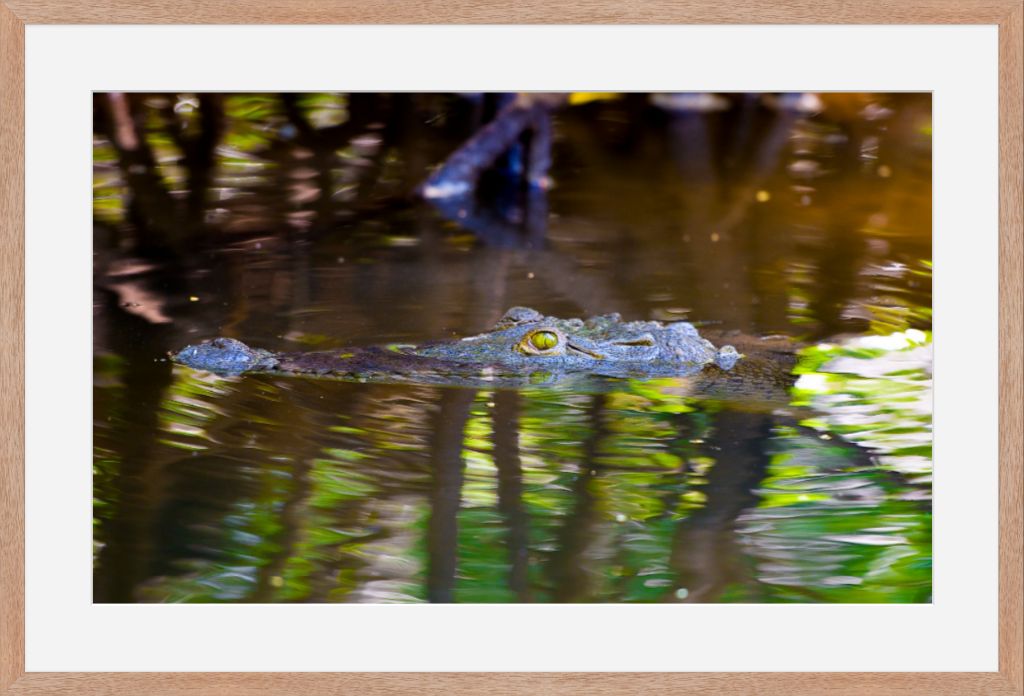 River Croc