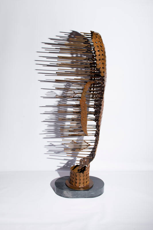 Untitled Steel Face #1