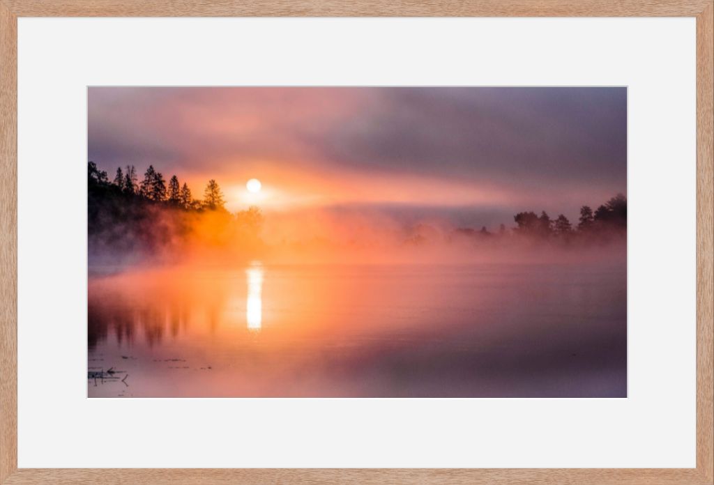 Misty Sunrise