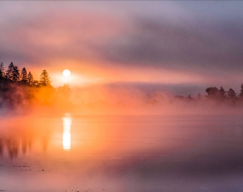 Misty Sunrise