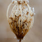 Winter Queen Anne's Lace