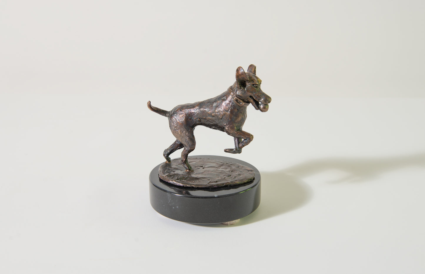Dog Running with Ball