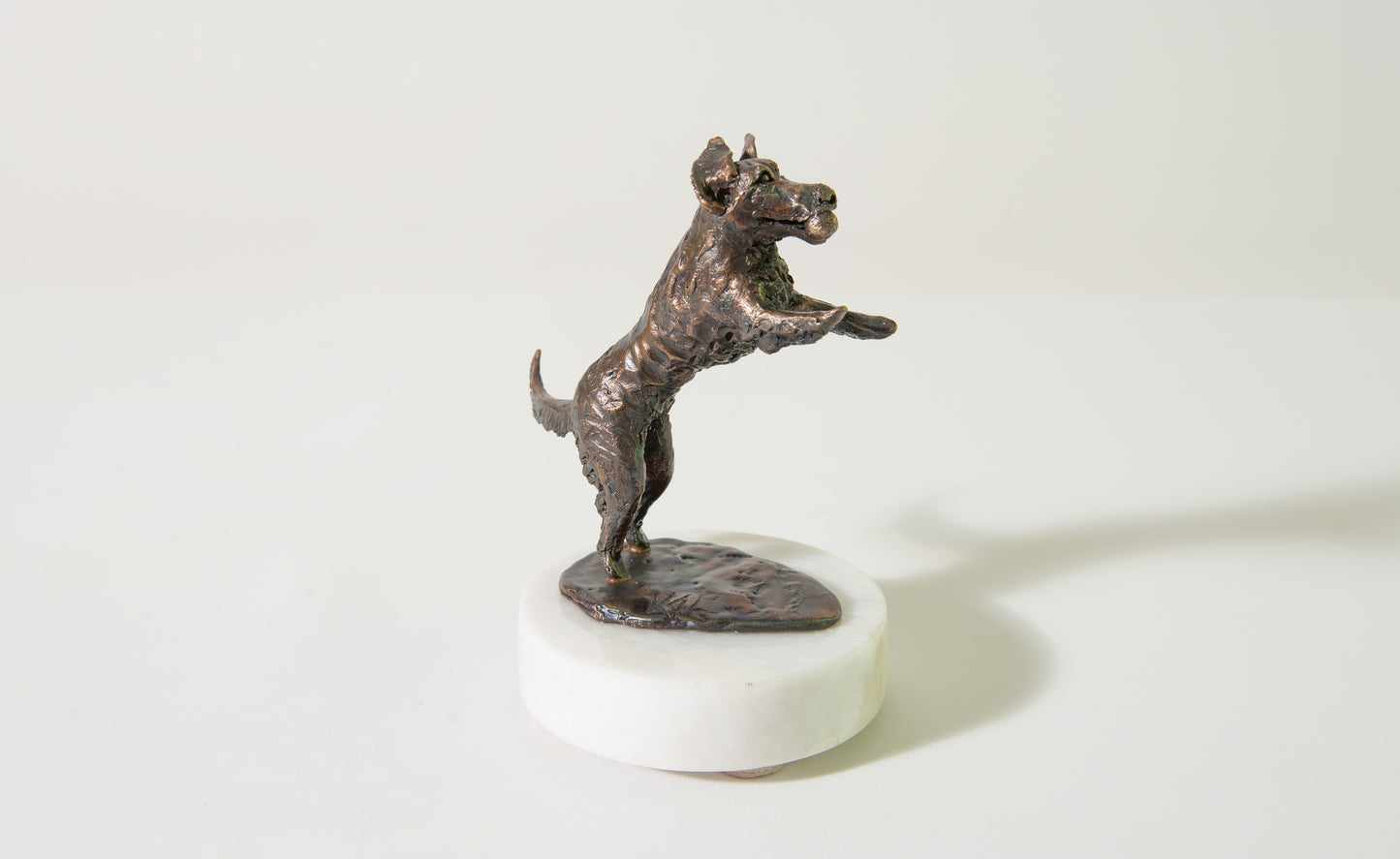 Dog Jumping for Ball