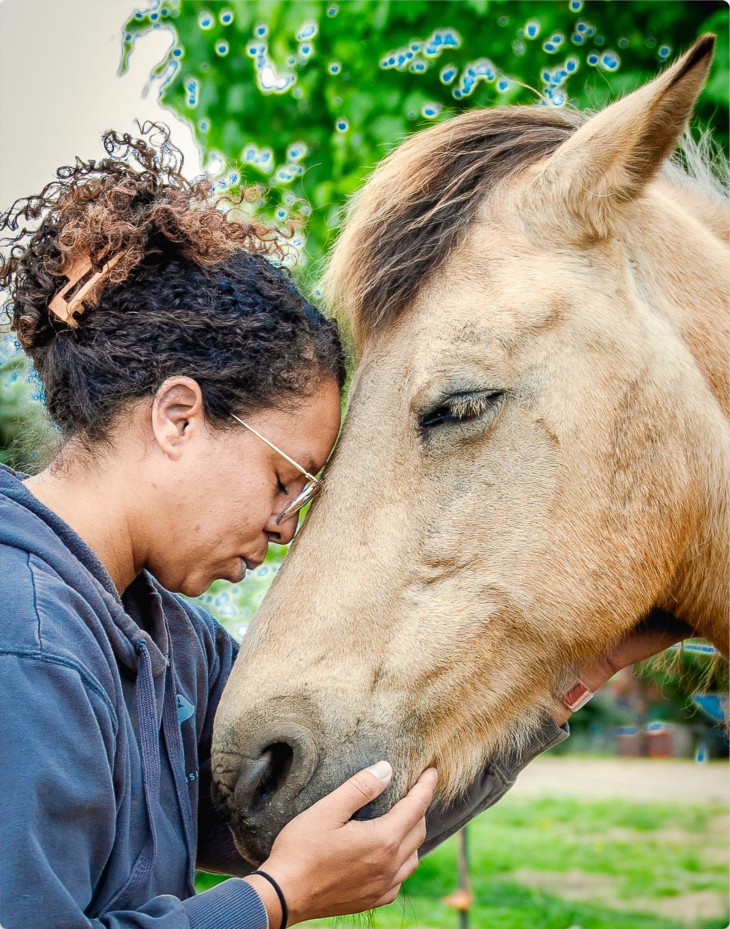 Horse Love