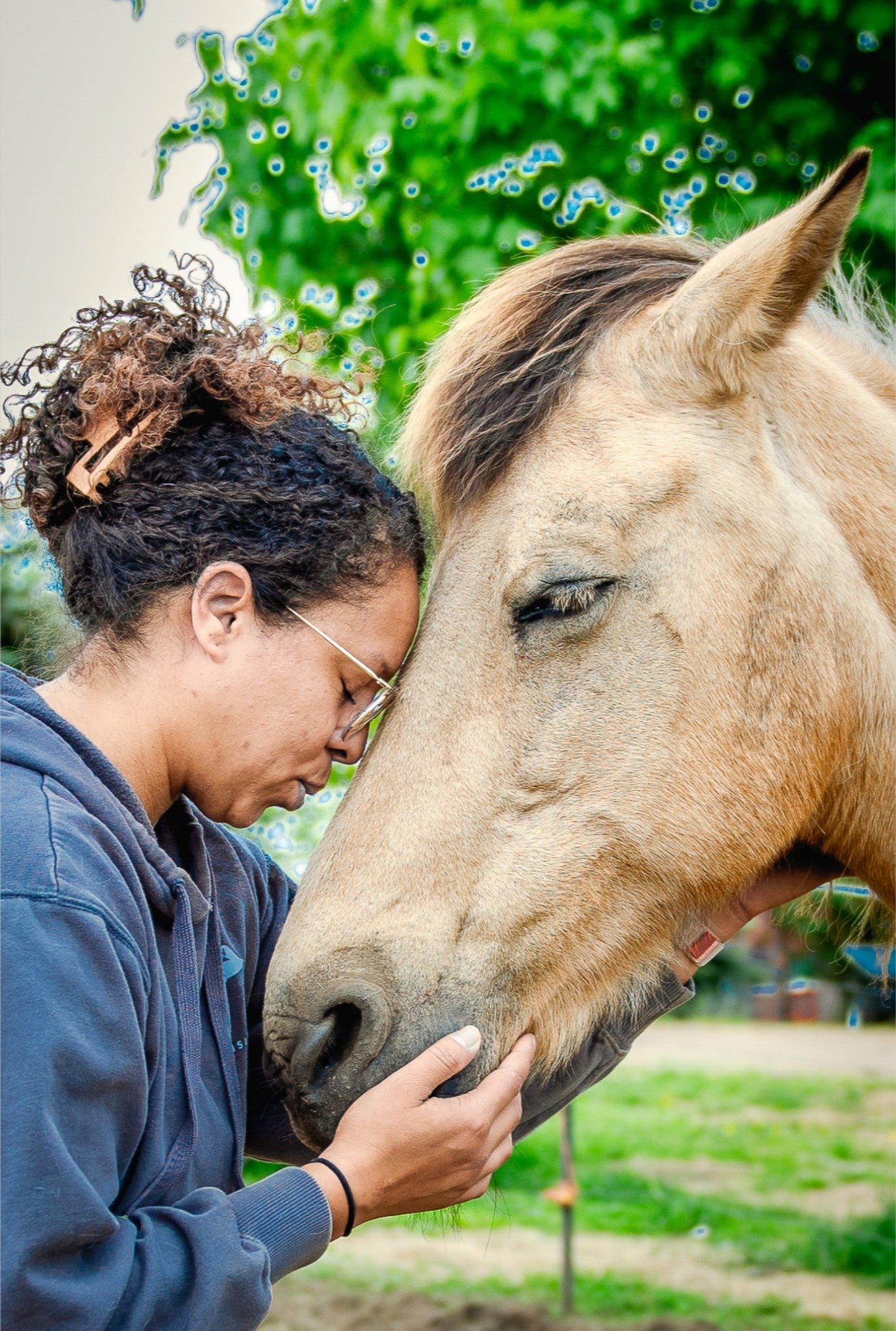 Horse Love