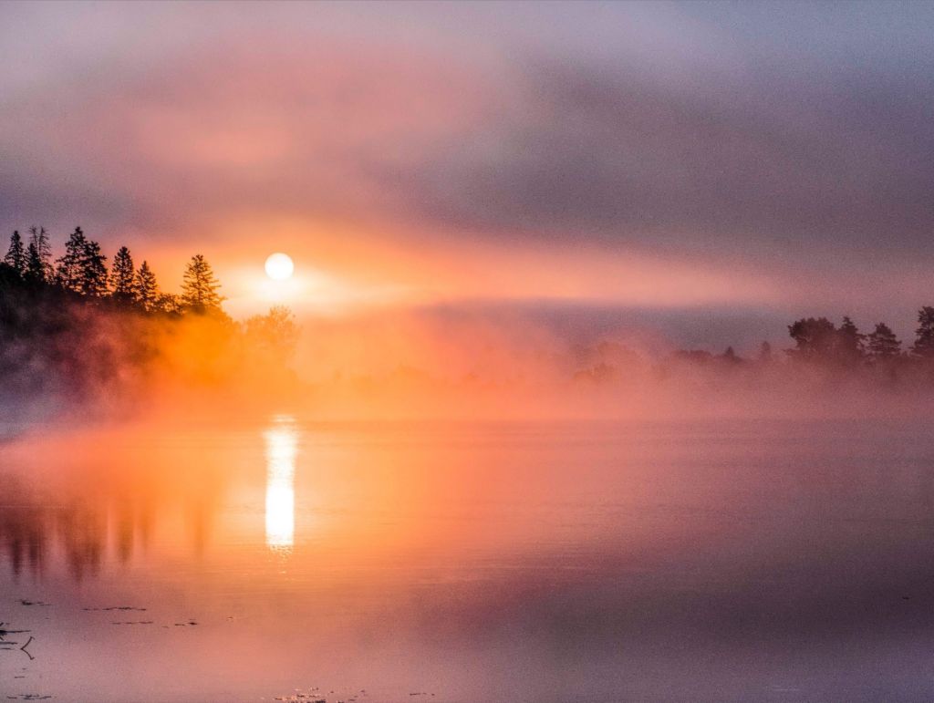 Misty Sunrise