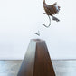 Dove Soaring
