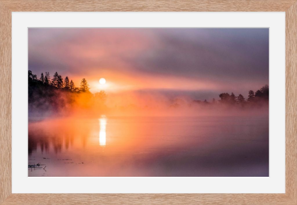 Misty Sunrise